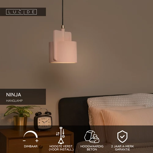 Lucide NINJA - Hanglamp - Ø 16 cm - 1xE27 - Roze - USP